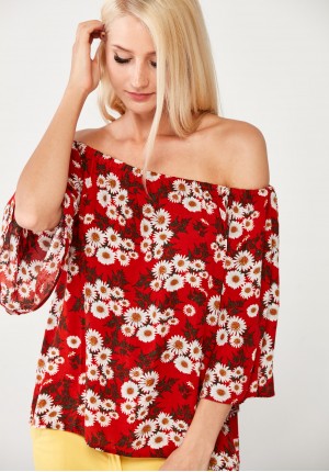 Red Blouse with camomiles