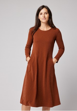 Brown dress with silver thread