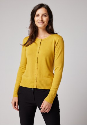 Klasyczny ciemnożółty sweter